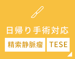 日帰り手術対応 精索静脈瘤 TESE