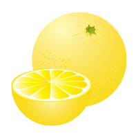 グレープフルーツ位