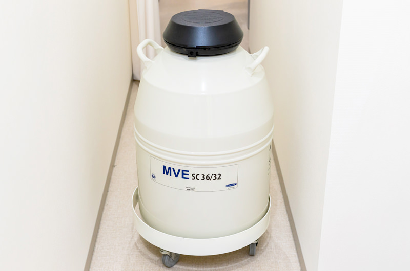 TESEから妊娠まで