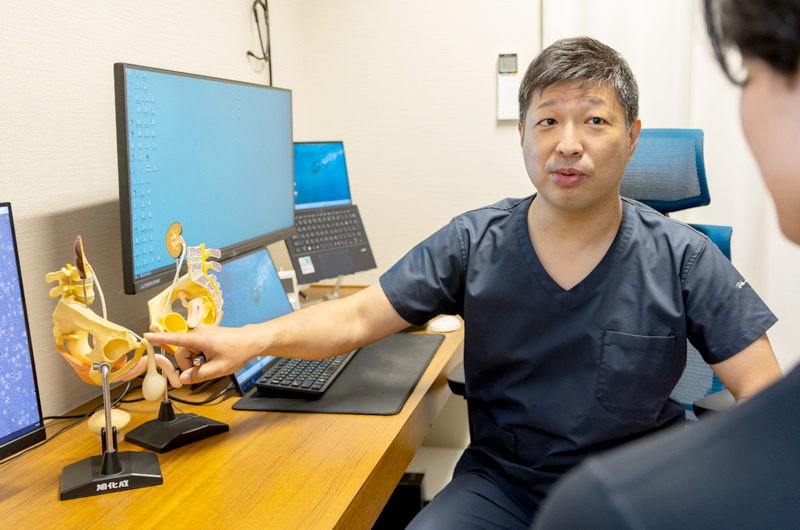 男性ホルモン（テストステロン）の役割